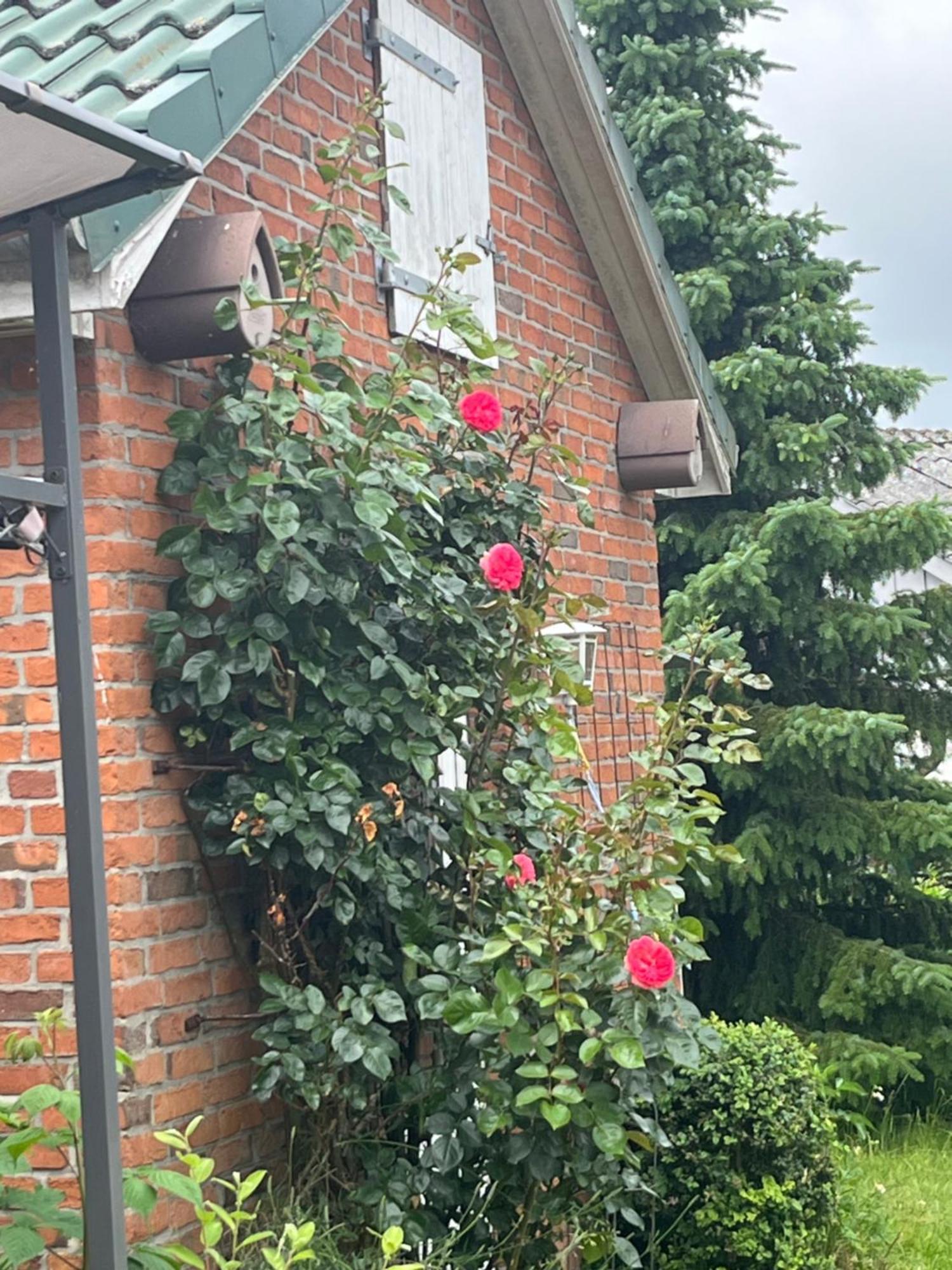 Gartenzimmer Zwischen Den Meeren Ladelund Exterior foto