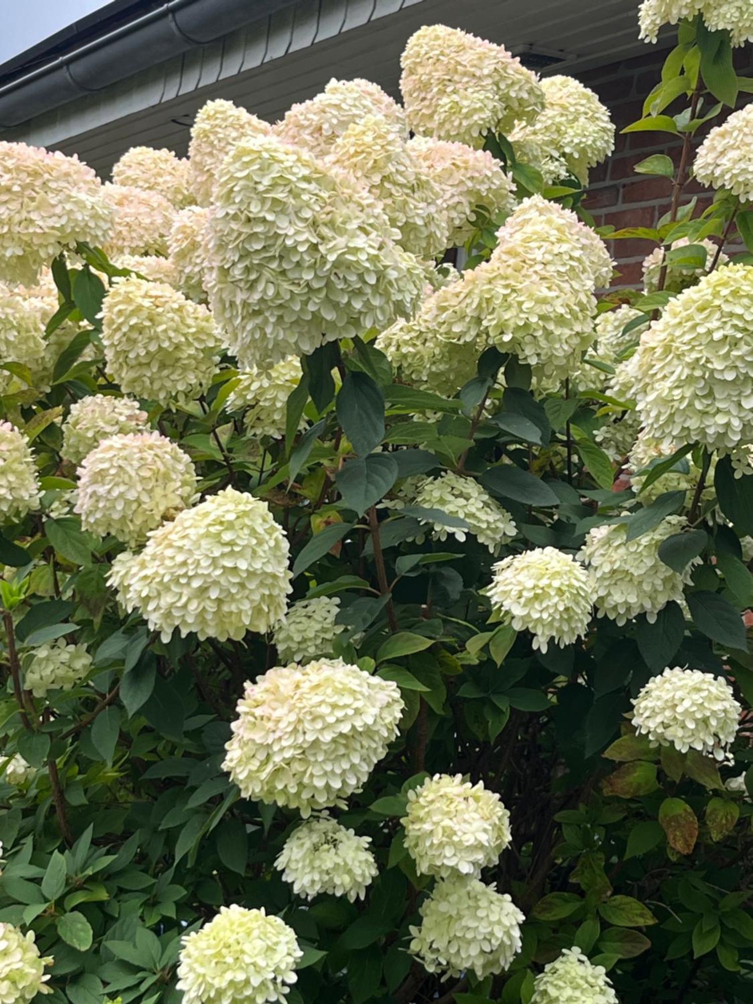 Gartenzimmer Zwischen Den Meeren Ladelund Exterior foto